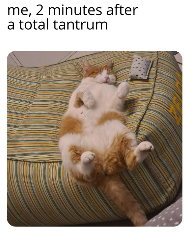me, 2 minutes after a total tantrum