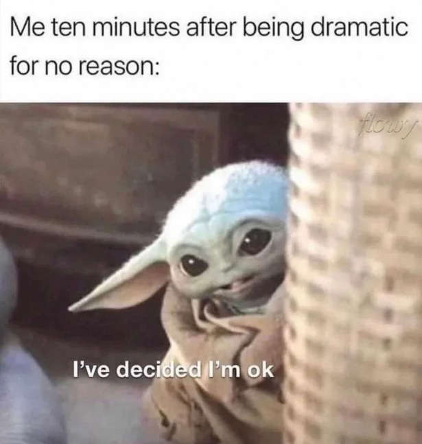 Me ten minutes after being dramatic for no reason: I've decided I'm ok flowy