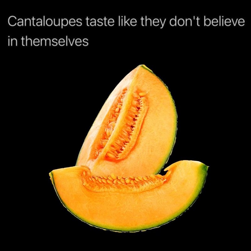 Cantaloupes taste like they don't believe. in themselves