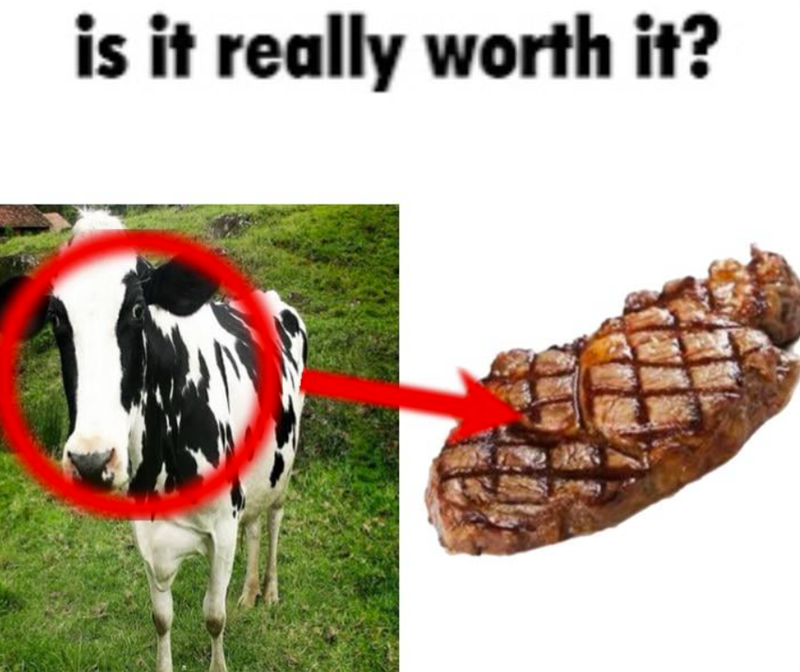 is it really worth it?