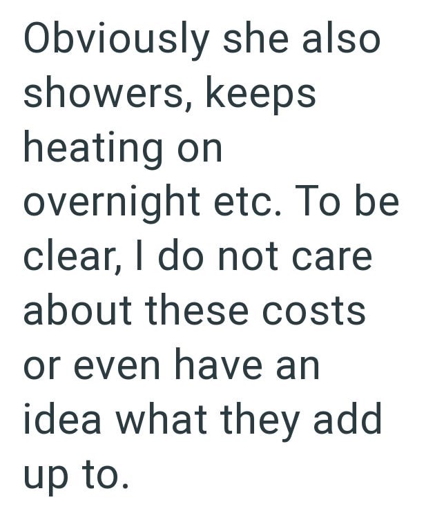 Obviously she also showers, keeps heating on overnight etc. To be clear, I do not care about these costs or even have an idea what they add up to.