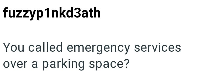 fuzzyp1nkd3ath You called emergency services over a parking space?