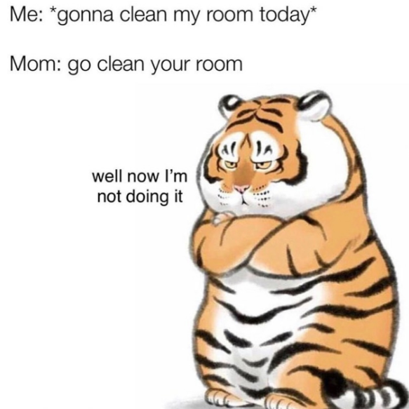 Me: *gonna clean my room today* Mom: go clean your room well now I'm not doing it