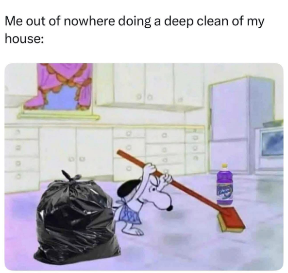 Me out of nowhere doing a deep clean of my house: 000
