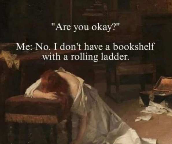 "Are you okay?" Me: No. I don't have a bookshelf with a rolling ladder.