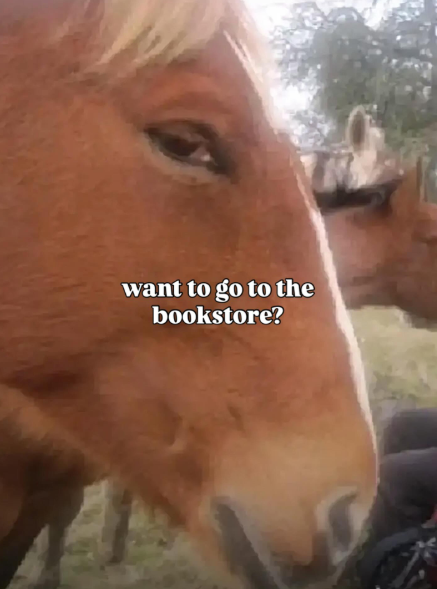 want to go to the bookstore?