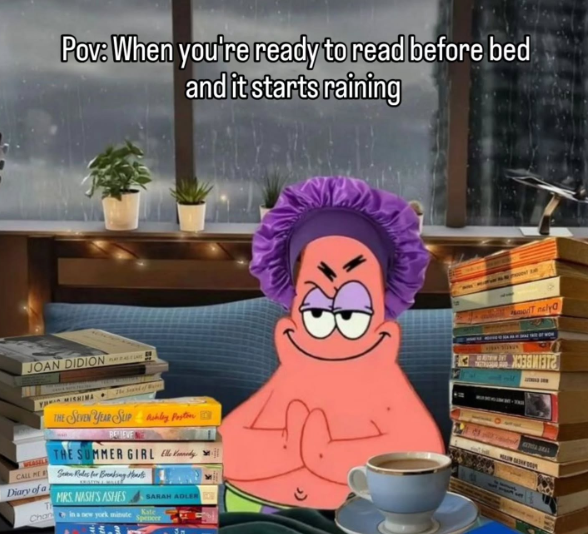 Pov: When you're ready to read before bed and it starts raining JOAN DIDION Tnaly The Sark THE SEVEN YEAR SLIP Ahly Postin REVIEVE THE SUMMER GIRL CALL PES Rodes for Breaking Hearts Diary of a MRS. NASH'S ASHES Chan in a new york minute SARAH ADLER Kate Spencer X338M372