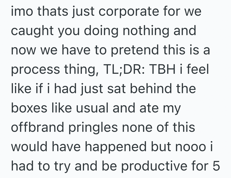 imo thats just corporate for we caught you doing nothing and now we have to pretend this is a process thing, TL;DR: TBH i feel like if i had just sat behind the boxes like usual and ate my offbrand pringles none of this would have happened but nooo i had to try and be productive for 5