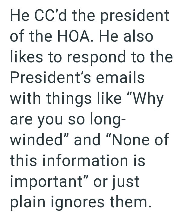 He CC'd the president of the HOA. He also likes to respond to the President's emails with things like "Why are you so long- winded" and "None of this information is important" or just plain ignores them.