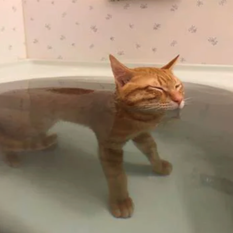 Cheezburger Image 10622447360