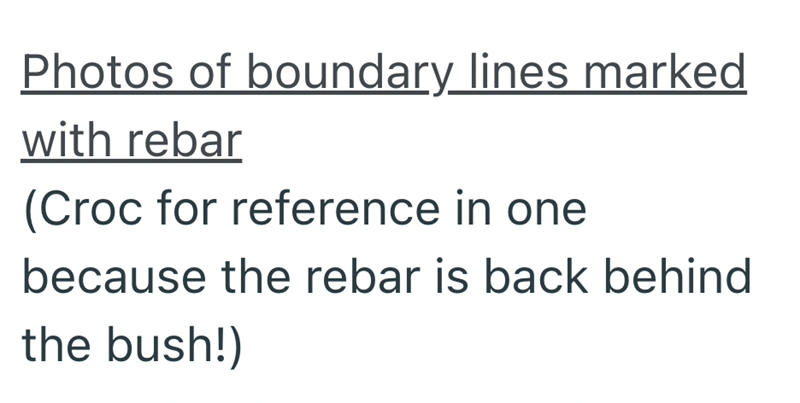 Cheezburger Image 10622448128