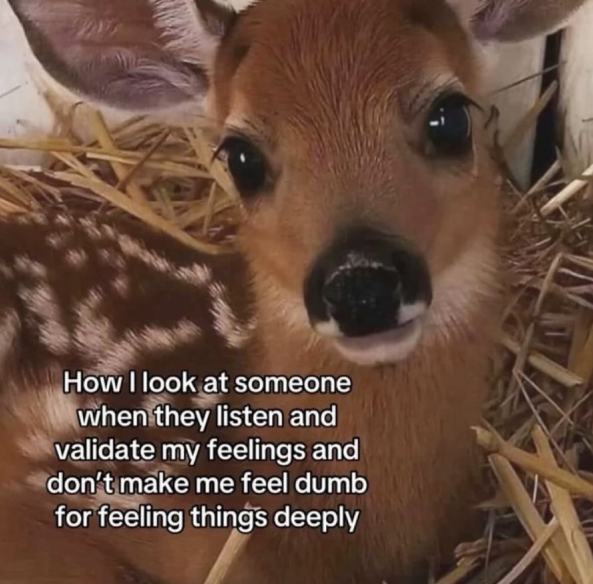 How I look at someone when they listen and validate my feelings and don't make me feel dumb for feeling things deeply