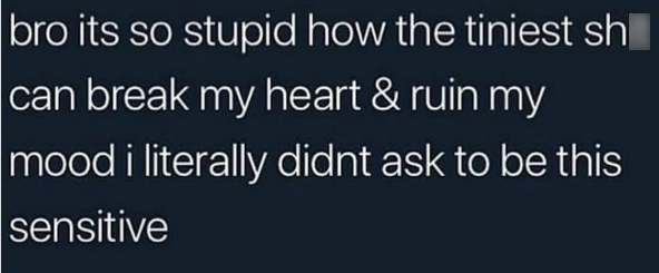 bro its so stupid how the tiniest sh can break my heart & ruin my mood i literally didnt ask to be this sensitive