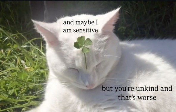 and maybe I am sensitive but you're unkind and that's worse