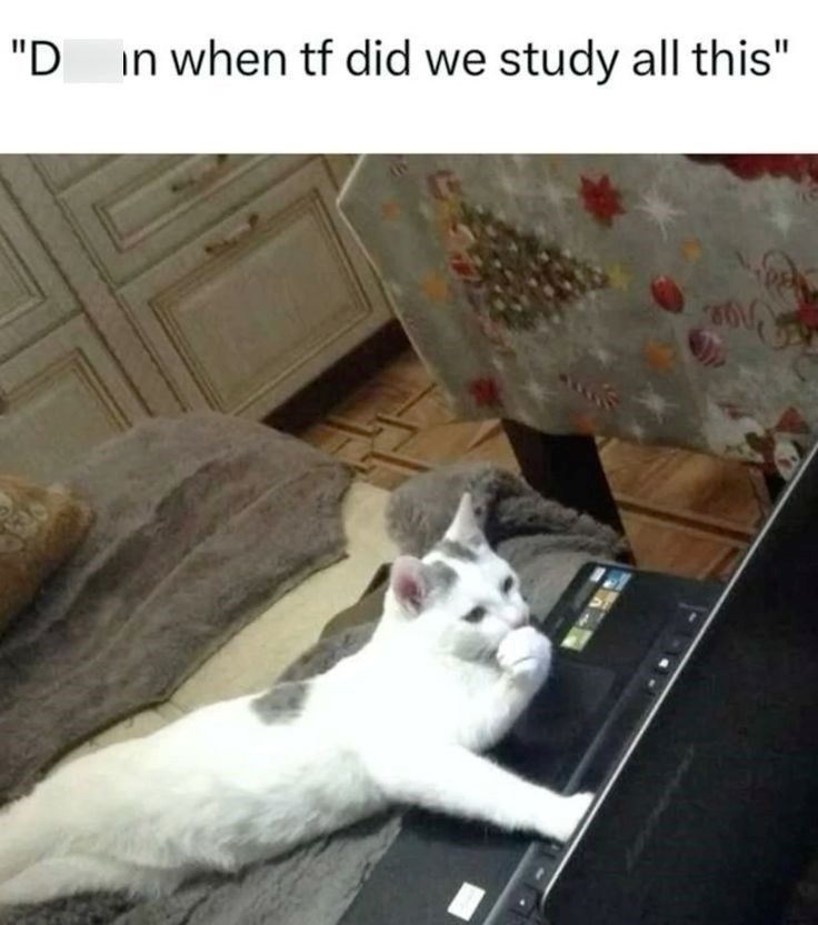 "D in when tf did we study all this"