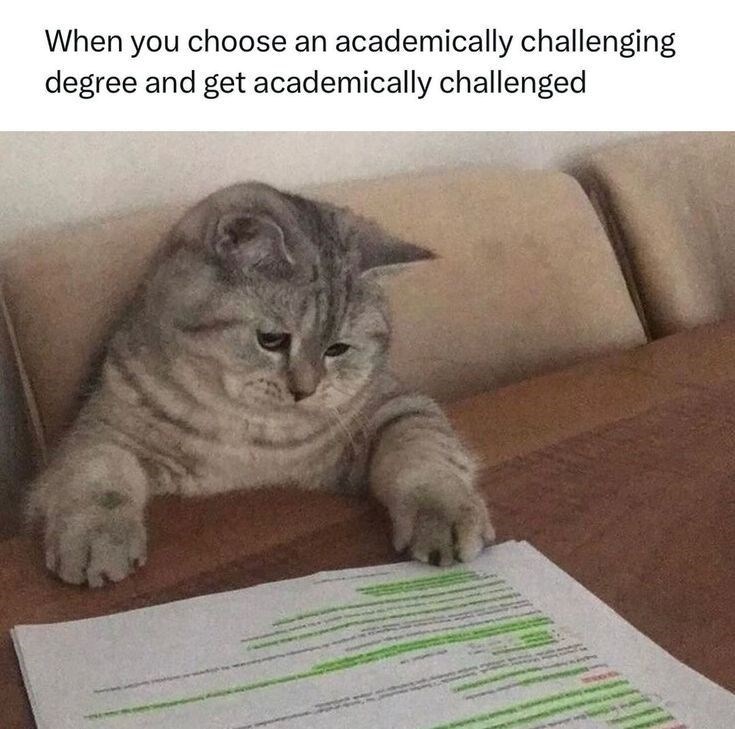 When you choose an academically challenging degree and get academically challenged