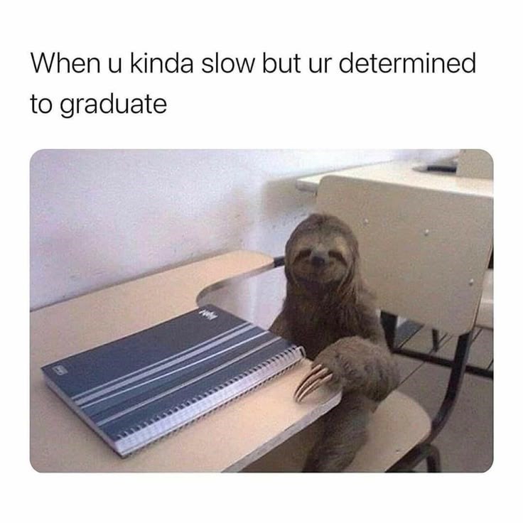 When u kinda slow but ur determined to graduate