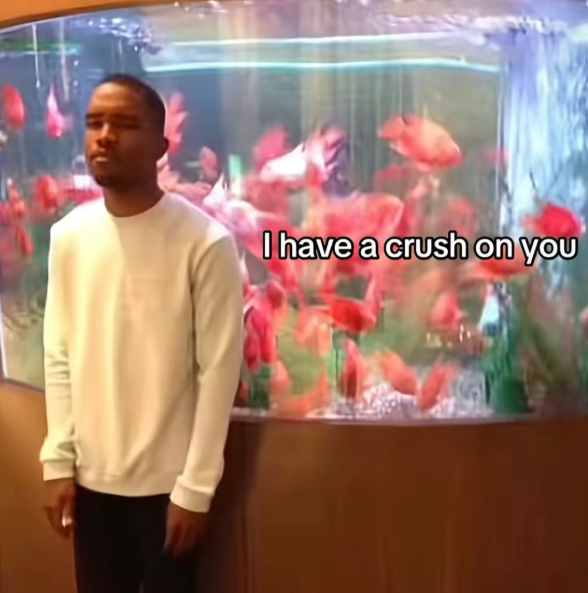 I have a crush on you