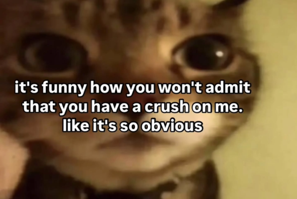 it's funny how you won't admit that you have a crush on me. like it's so obvious