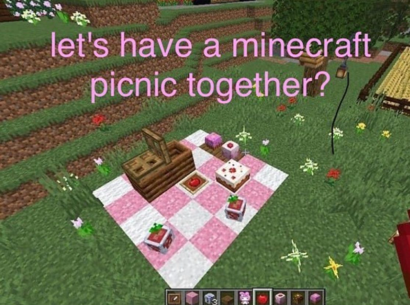 let's have a minecraft picnic together?