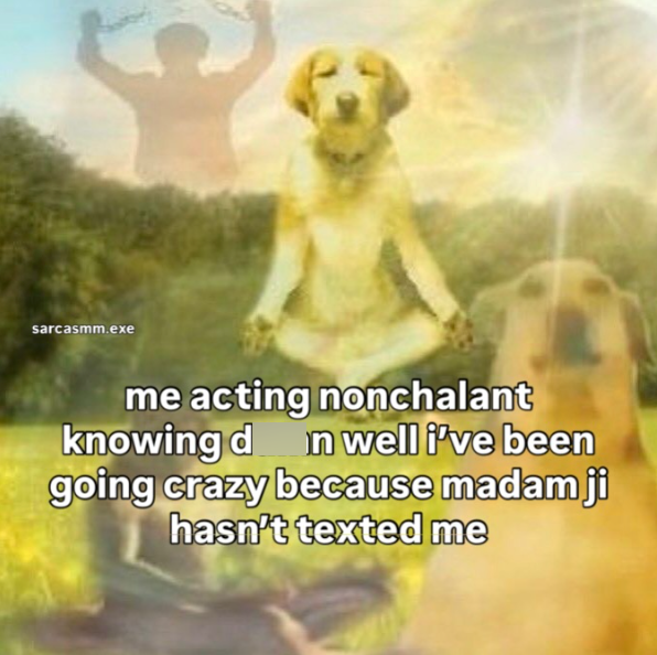 sarcasmm.exe me acting nonchalant knowing d in well i've been going crazy because madam ji hasn't texted me