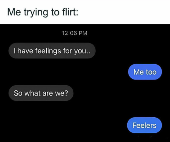 Me trying to flirt: 12:06 PM I have feelings for you.. So what are we? Me too Feelers
