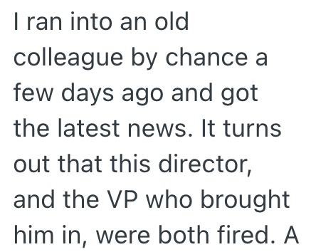 I ran into an old colleague by chance a few days ago and got the latest news. It turns out that this director, and the VP who brought him in, were both fired. A