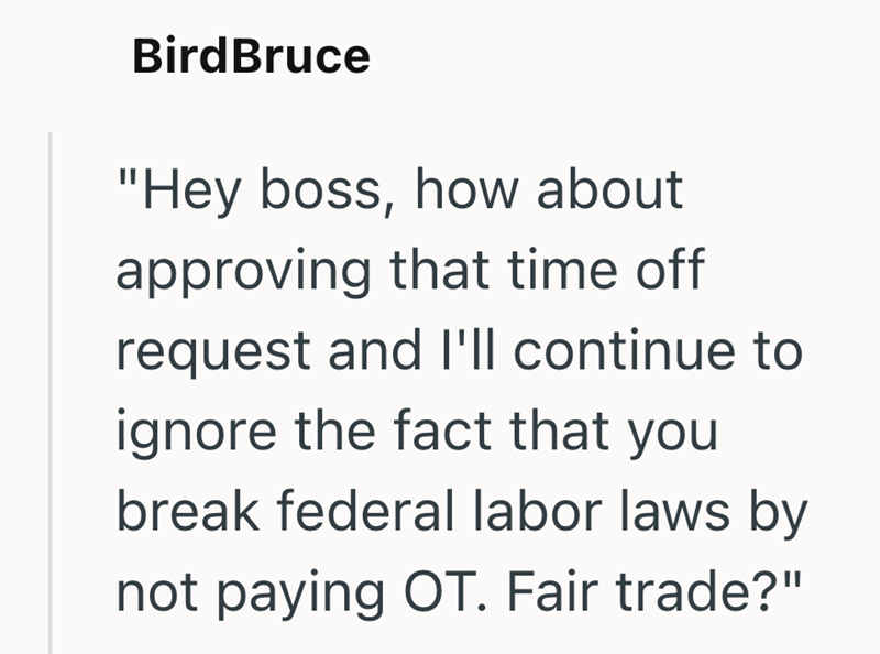 BirdBruce "Hey boss, how about approving that time off request and I'll continue to ignore the fact that you break federal labor laws by not paying OT. Fair trade?"
