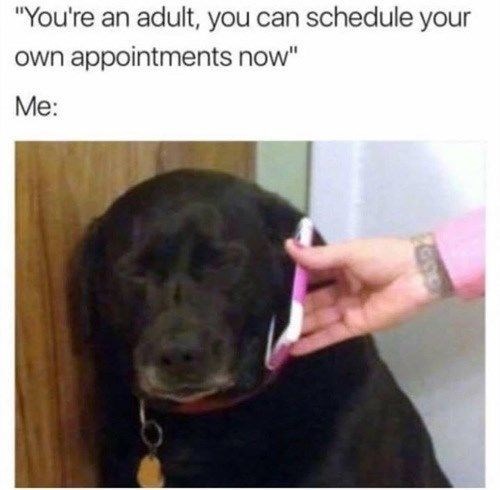 "You're an adult, you can schedule your own appointments now" Me: