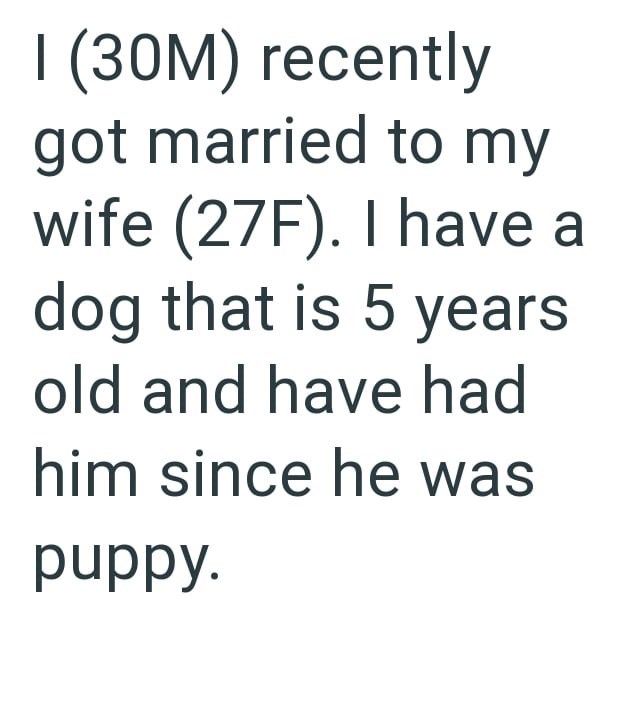 I (30M) recently got married to my wife (27F). I have a dog that is 5 years old and have had him since he was puppy.