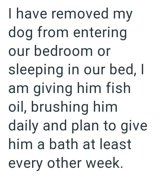I have removed my dog from entering our bedroom or sleeping in our bed, I am giving him fish oil, brushing him daily and plan to give him a bath at least every other week.