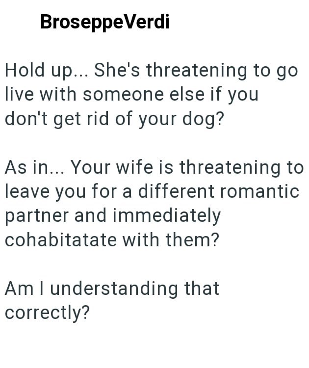 Broseppe Verdi Hold up... She's threatening to go live with someone else if you don't get rid of your dog? As in... Your wife is threatening to leave you for a different romantic partner and immediately cohabitatate with them? Am I understanding that correctly?