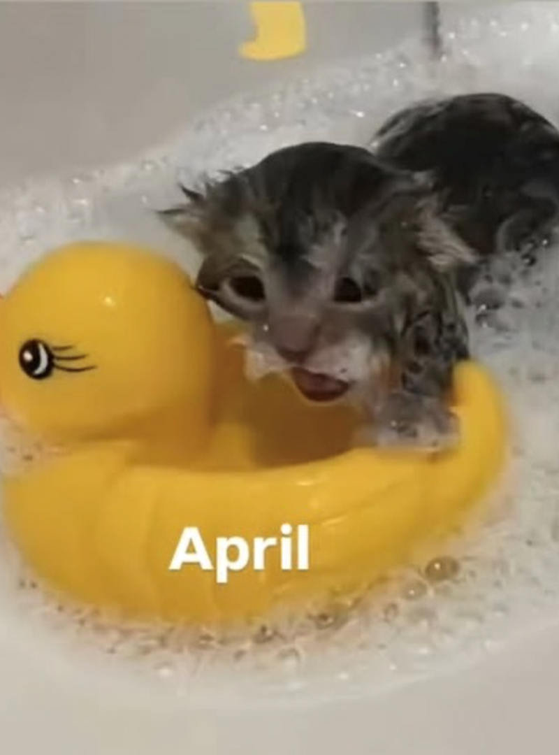 April