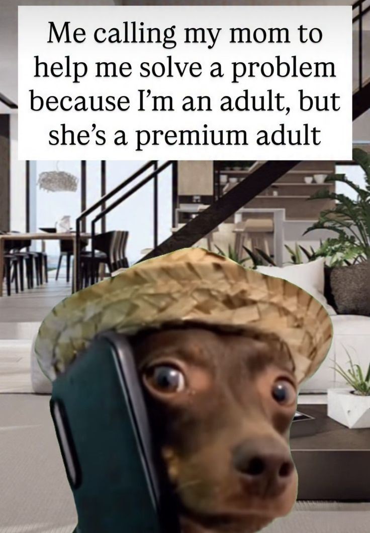 Me calling my mom to help me solve a problem because I'm an adult, but she's a premium adult