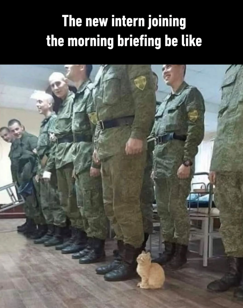 The new intern joining the morning briefing be like