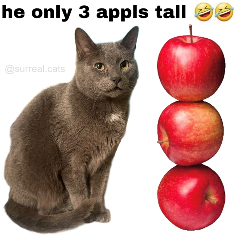 he only 3 appls tall 33 @surreal.cats