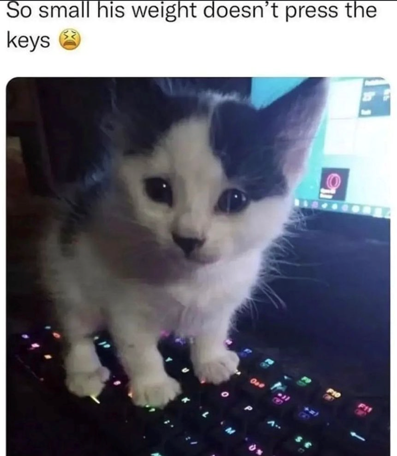 So small his weight doesn't press the keys en F11