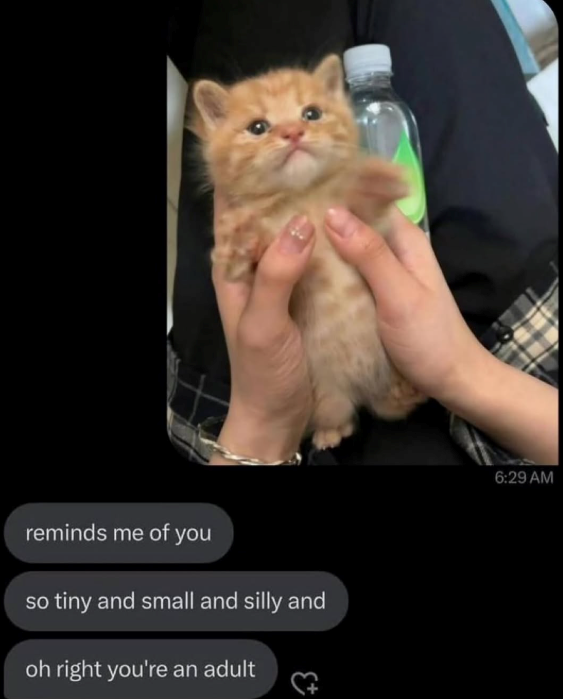 reminds me of you so tiny and small and silly and oh right you're an adult 6:29 AM