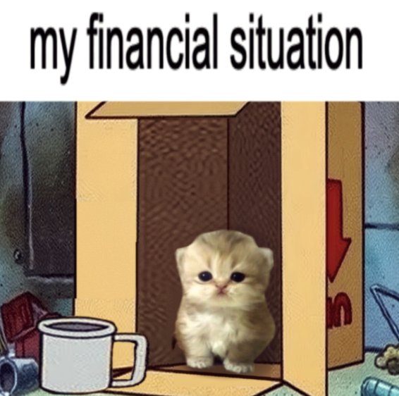 my financial situation