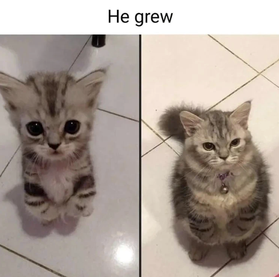 He grew