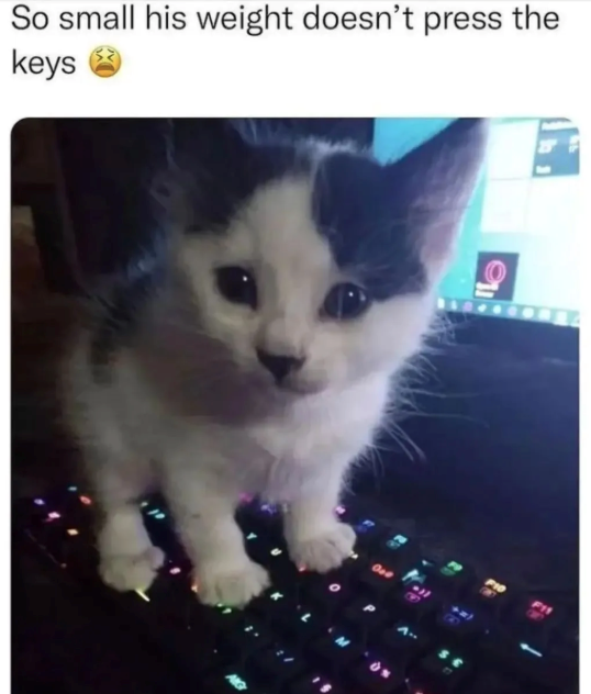 So small his weight doesn't press the keys le