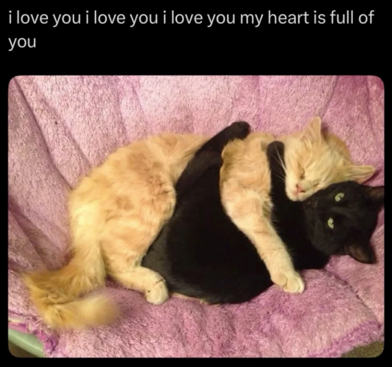 i love you i love you i love you my heart is full of you