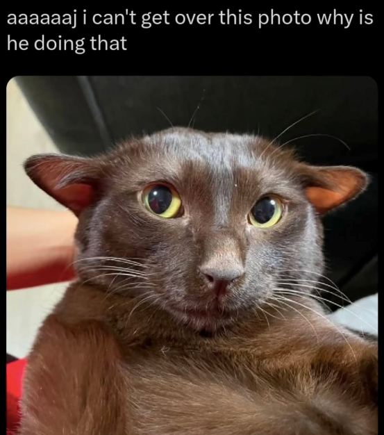 aaaaaaj i can't get over this photo why is he doing that