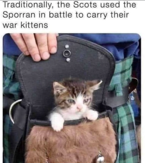 Traditionally, the Scots used the Sporran in battle to carry their war kittens