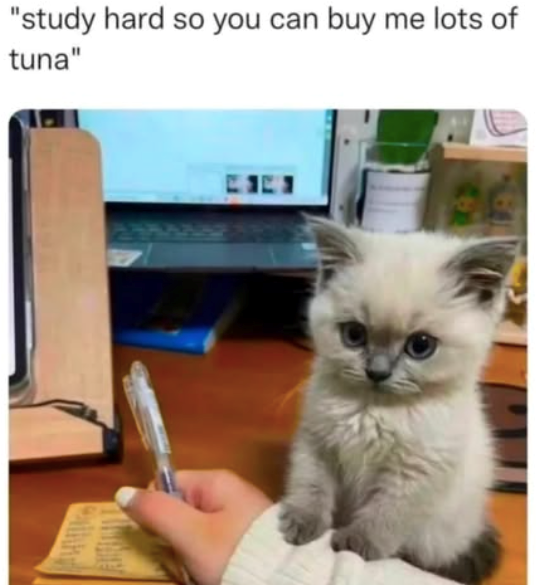 "study hard so you can buy me lots of tuna"