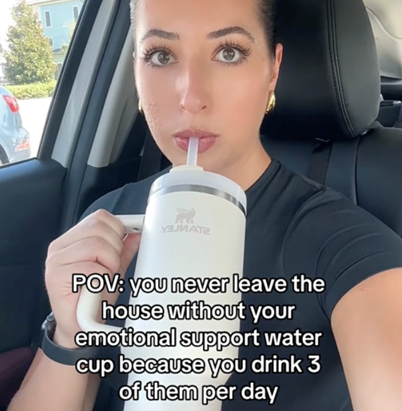 УЗЈИАТЕ POV: you never leave the house without your emotional support water cup because you drink 3 of them per day