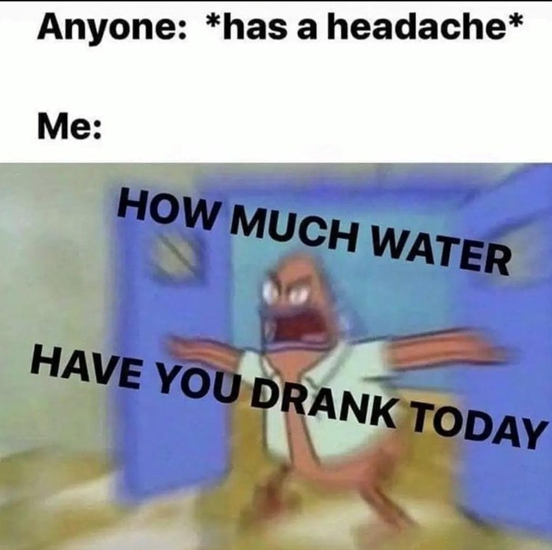 Anyone: *has a headache* Me: HOW MUCH WATER HAVE YOU DRANK TODAY