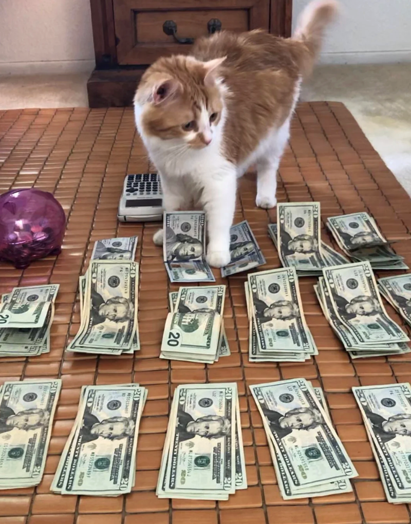 LESENESTE " A38239764 LIF H 20 F F6 20 IF 737031 TWENTY DOLLARS DOLLARS 20 AL 100 BLOCK A 20 20 TWENTY LARS MARI DOLLARS 20 LIZ 20 QUES 20 FG 7547292 240 20 20 20 20 WL 324591558 20 TWENTY DOLLARS TT DOLLARS 20 27356554 132 RESCIVE ULLIED GA 20 20 WL 2735655J 20 TWENTY DOLLARS 20 3552336897 12 20 20 ST 55223489F BO TWENTY DOLLARS 33324860