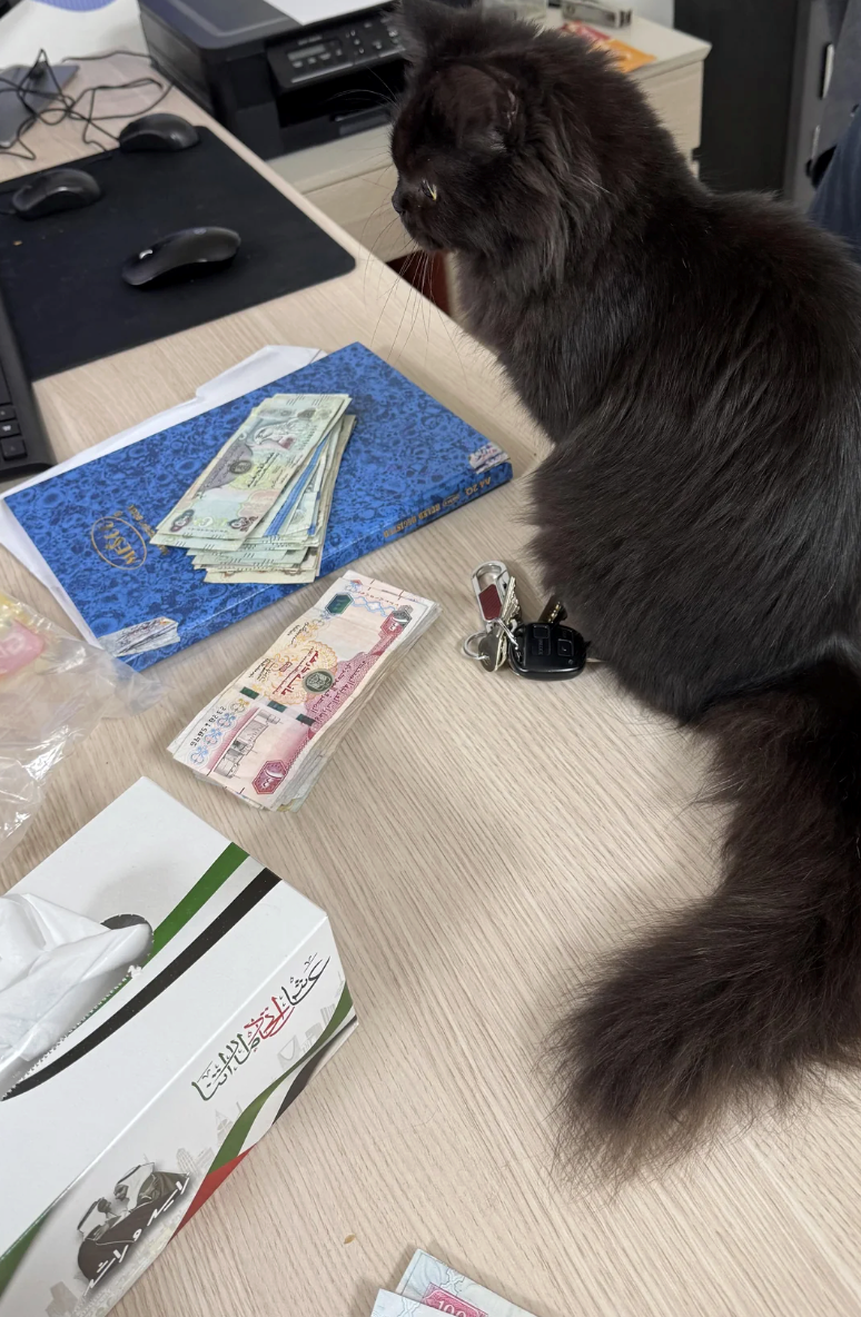 سان مارات العربية المتحدة المعرفة المركونة مائة درهم 10 30 40 10 MES 232815896 SEITSERHER رات