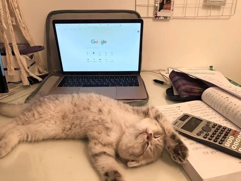 Go gle ODD 000 330035 333333 03 33